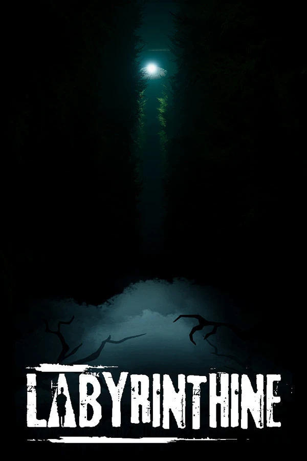 Capa de Labyrinthine