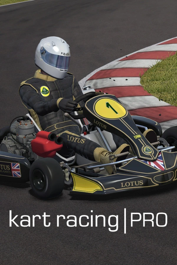 Jaquette de Kart Racing Pro